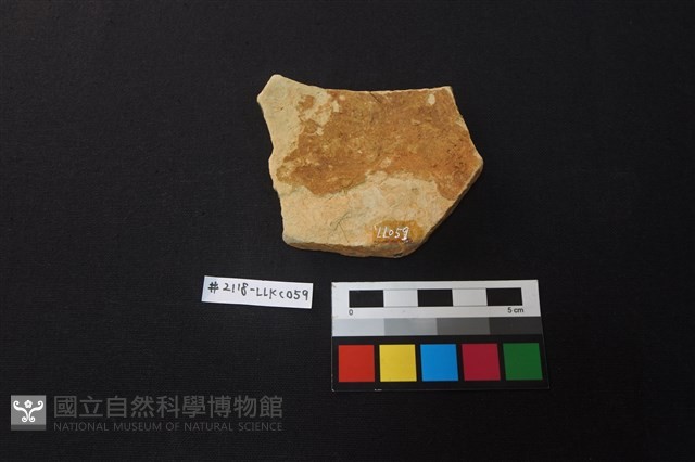 陶片藏品圖，第2張