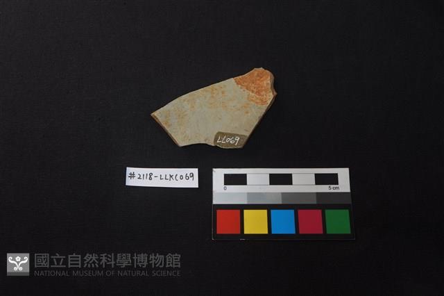 陶片藏品圖，第2張