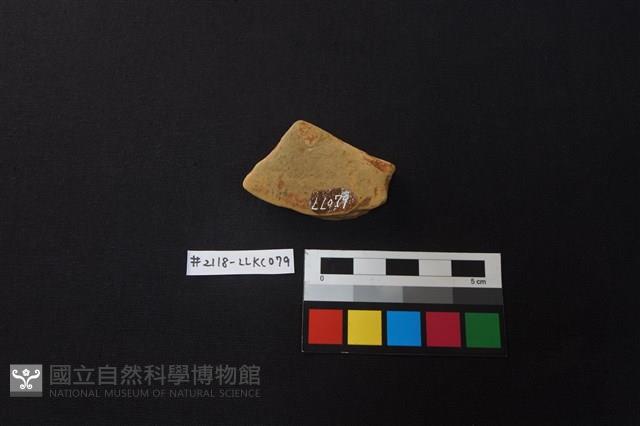 陶片藏品圖，第2張