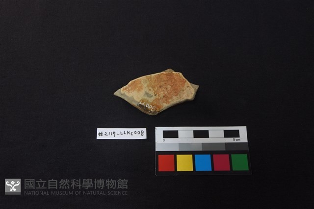 陶片藏品圖，第2張