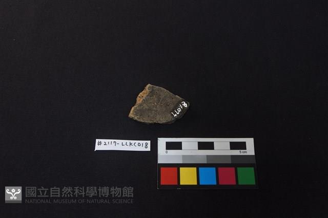 陶片藏品圖，第2張