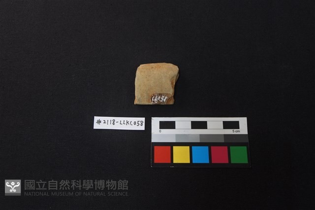 陶片藏品圖，第2張