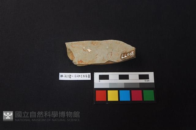 陶片藏品圖，第2張