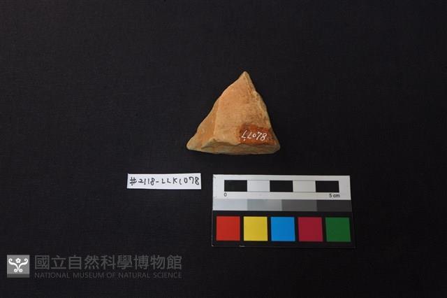 陶片藏品圖，第2張