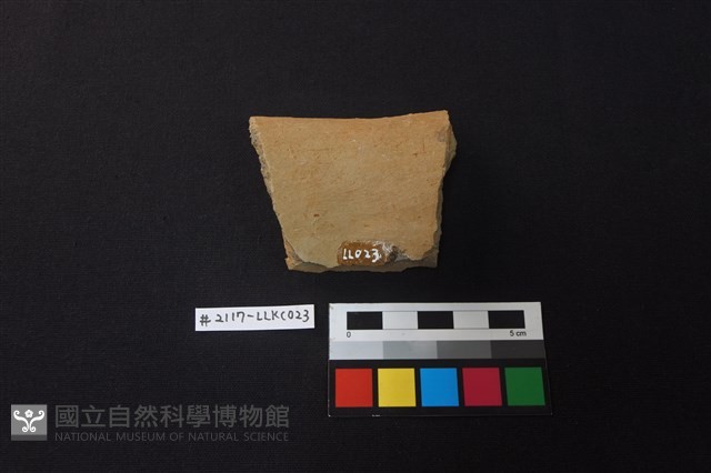 陶片藏品圖，第2張