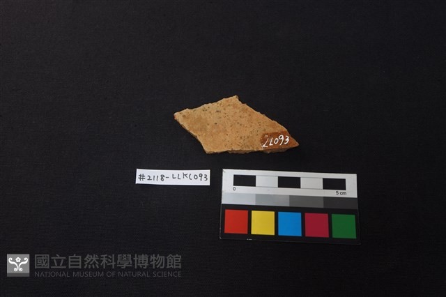 陶片藏品圖，第2張