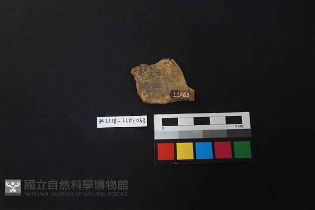 陶片藏品圖，第2張