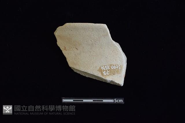 陶片藏品圖，第2張