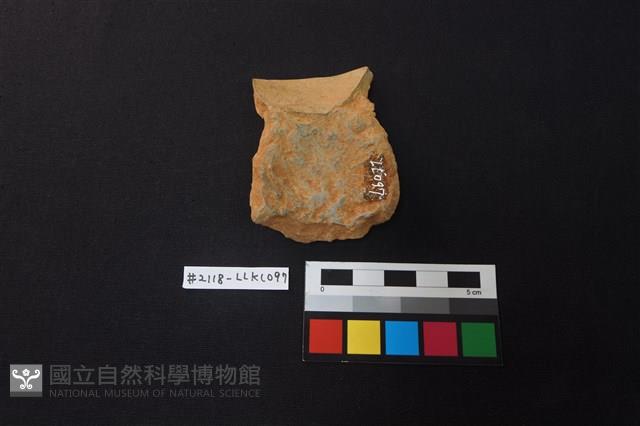 陶片藏品圖，第2張