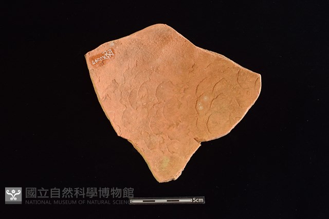 陶環藏品圖，第2張