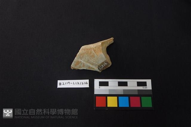 陶片藏品圖，第2張