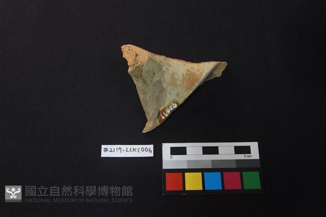 陶片藏品圖，第2張