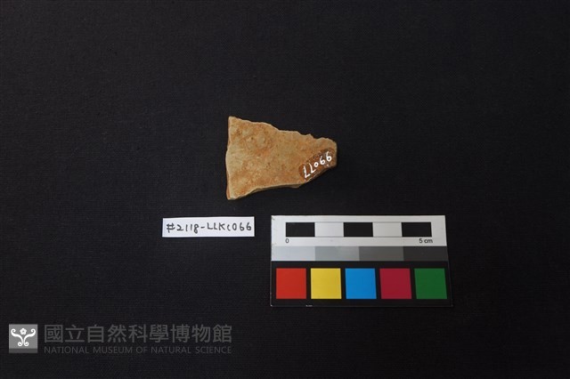 陶片藏品圖，第2張