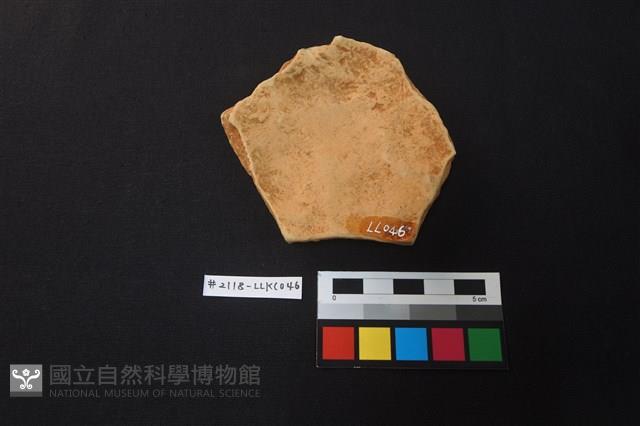 陶片藏品圖，第2張