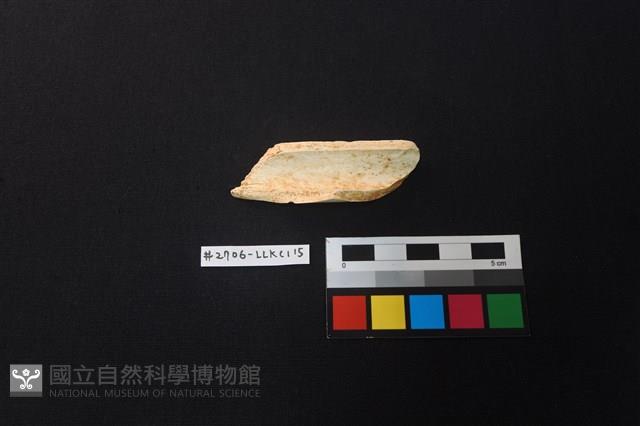 陶片藏品圖，第2張