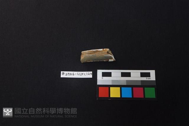 陶片藏品圖，第2張