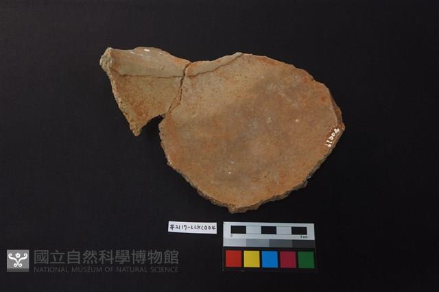 陶片藏品圖，第2張