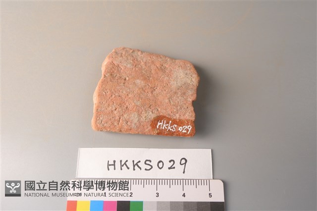 陶片藏品圖，第2張