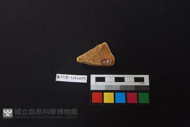 陶片藏品圖，第2張