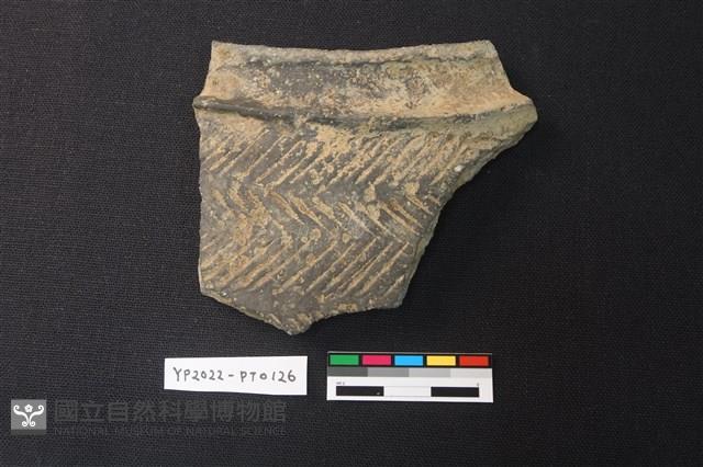 陶紡輪藏品圖，第1張