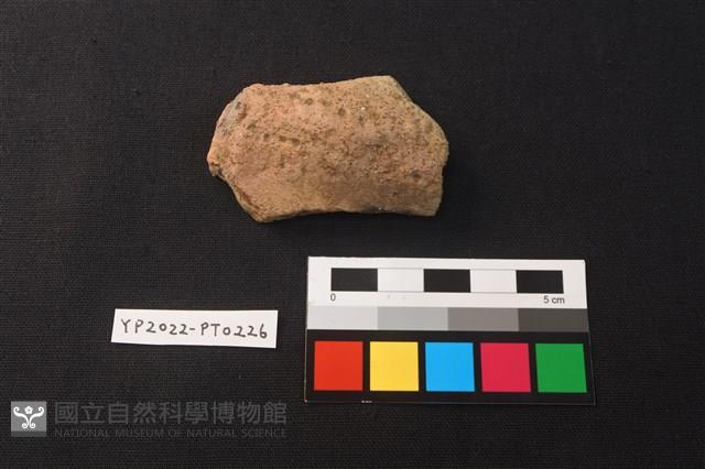 陶片藏品圖，第1張