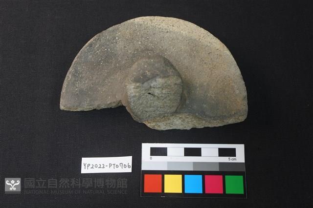 陶蓋鈕藏品圖，第1張