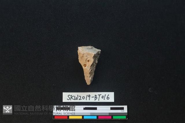 骨尖器藏品圖，第1張