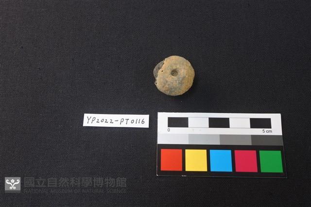 陶紡輪藏品圖，第1張
