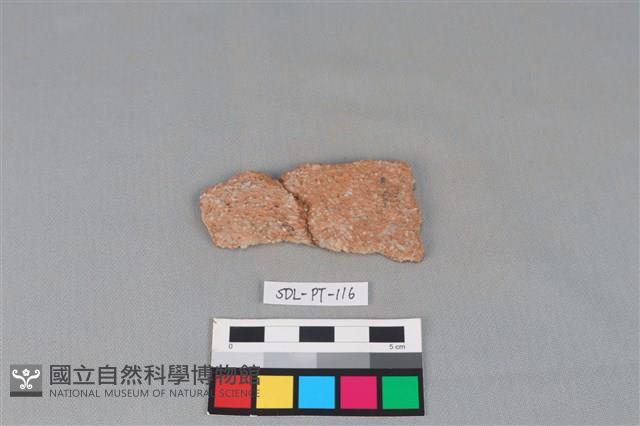 陶片藏品圖，第1張