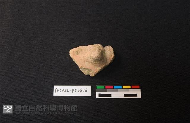 陶片藏品圖，第1張