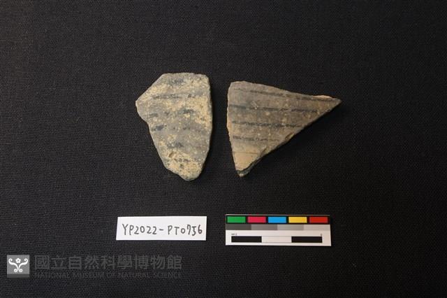 陶片藏品圖，第1張