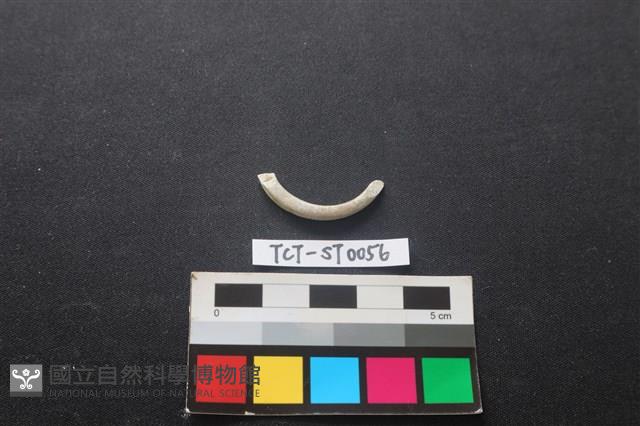 玉玦藏品圖，第1張