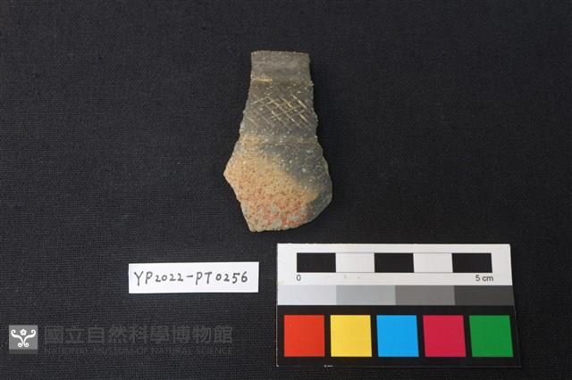 陶片藏品圖，第1張