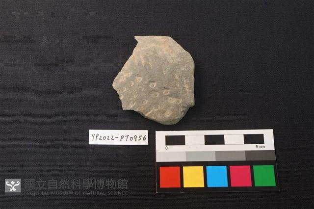 陶片藏品圖，第1張