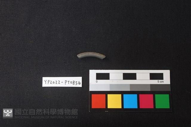 陶環藏品圖，第1張