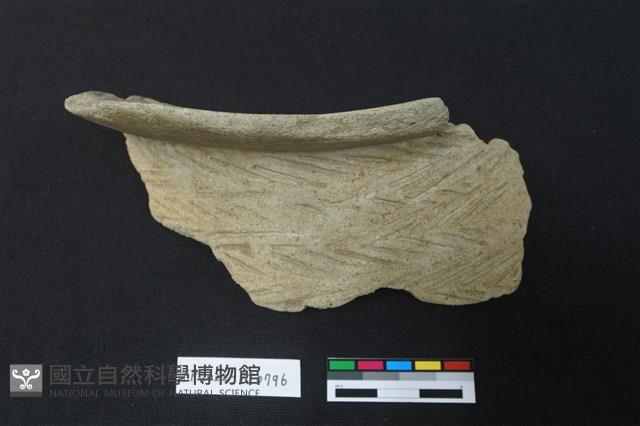 陶片藏品圖，第1張