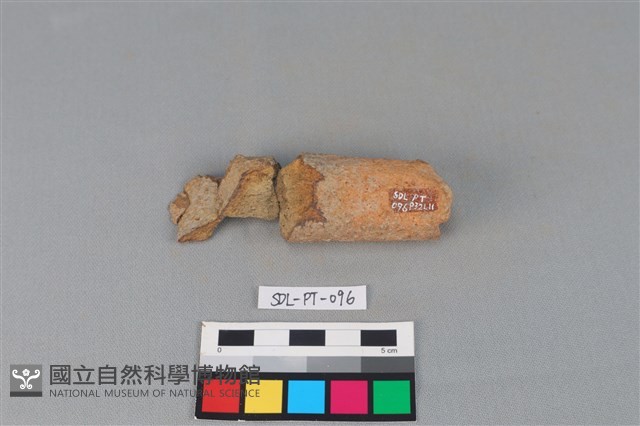 陶把藏品圖，第1張