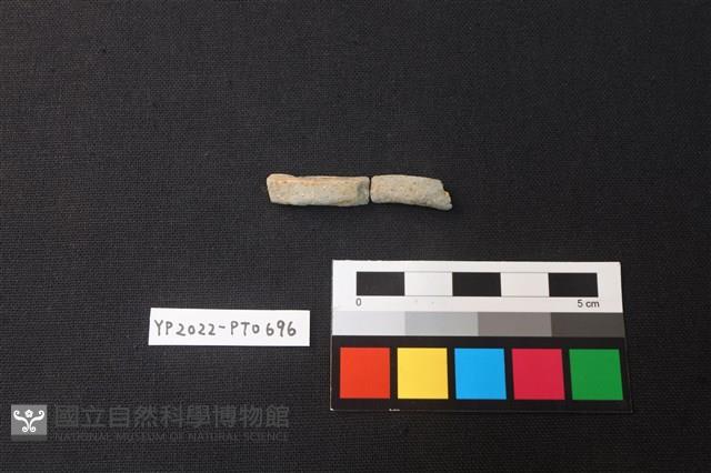 陶環藏品圖，第1張