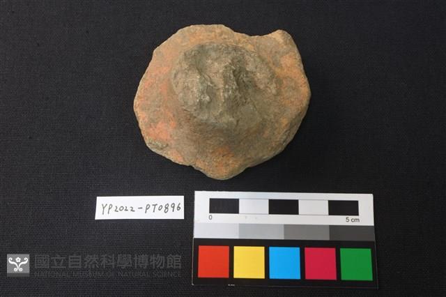 陶蓋藏品圖，第1張