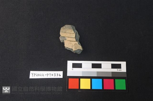 陶片藏品圖，第1張