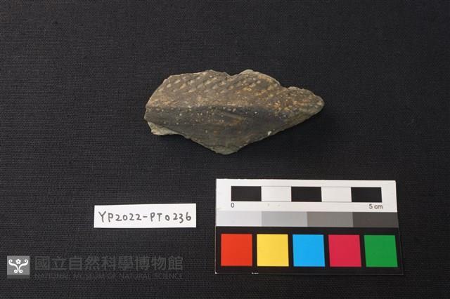 陶片藏品圖，第1張