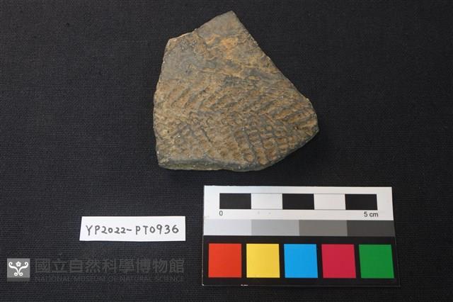 陶片藏品圖，第1張