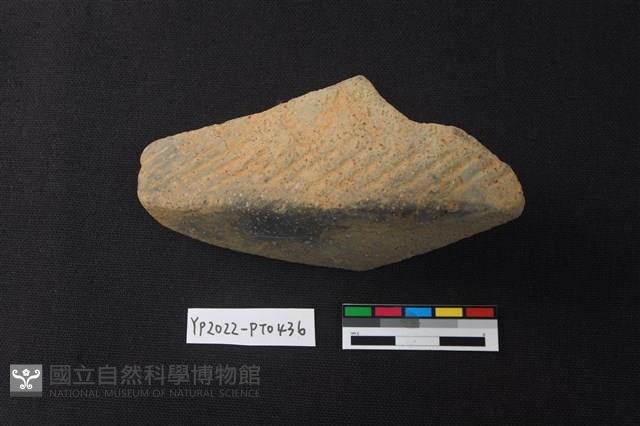 陶片藏品圖，第1張