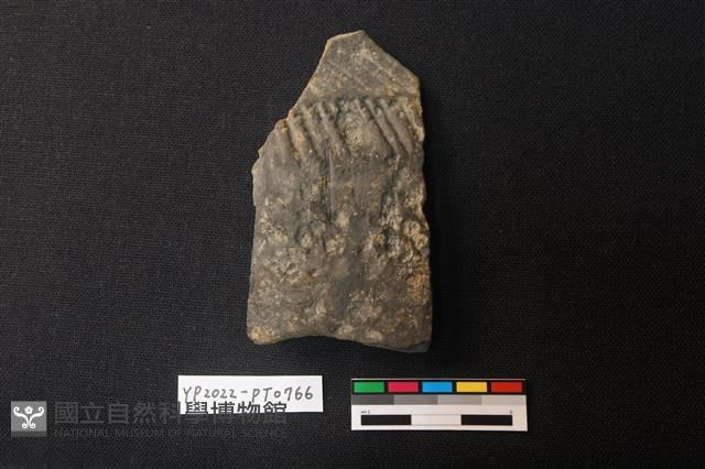 陶片藏品圖，第1張