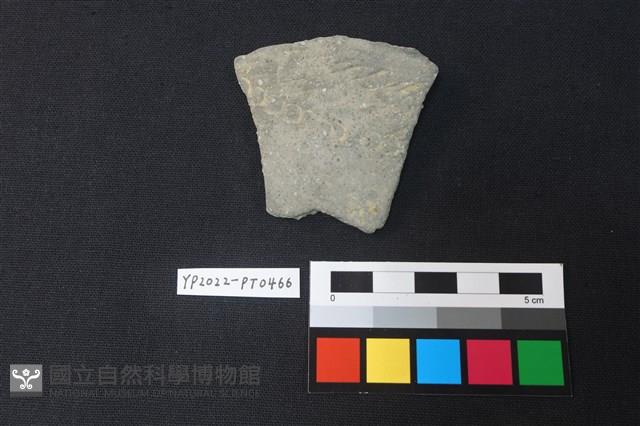 陶片藏品圖，第1張