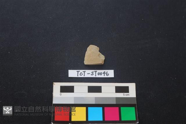 錛鑿形器藏品圖，第1張