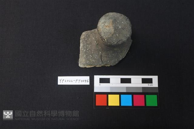 覆碗型陶蓋藏品圖，第1張