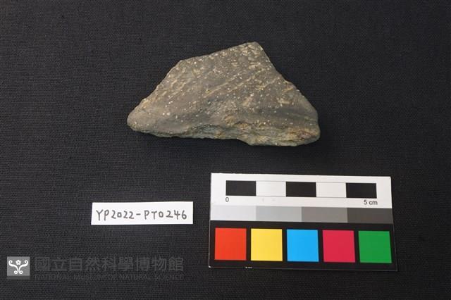 陶片藏品圖，第1張