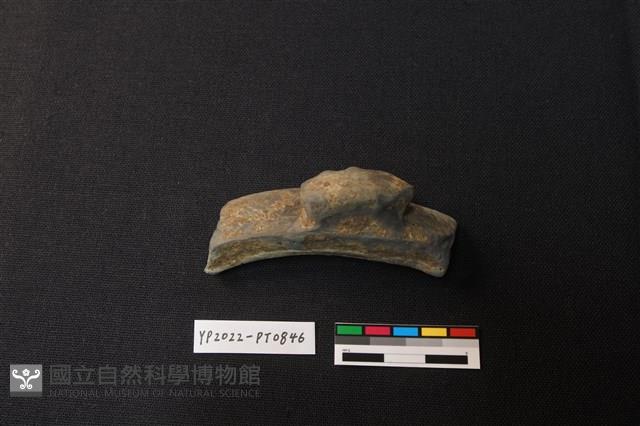 陶片藏品圖，第1張