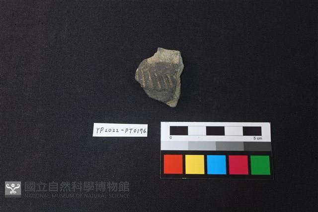 陶片藏品圖，第1張